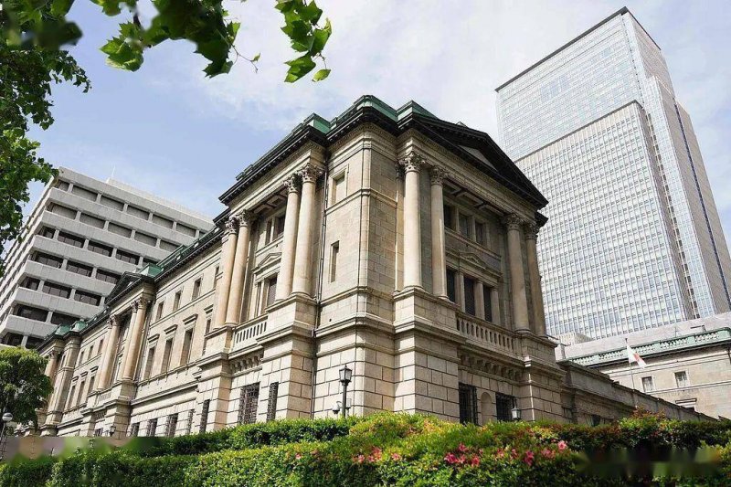 11月吸金114亿，支出赛道钱都流给了谁