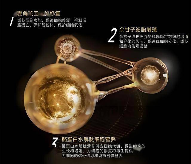 一周年答卷来了，浙江这些项目依旧引爆支出