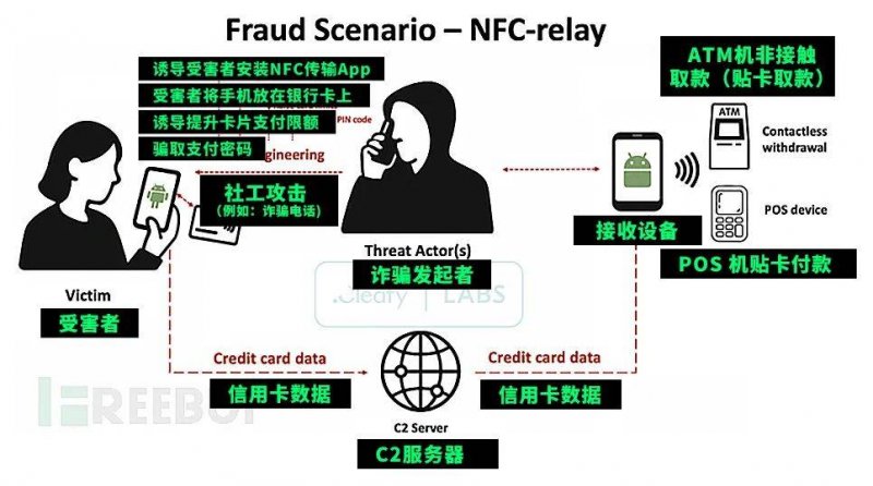 暴龍的失落族譜現身：「蒙古的龍王子」化石改寫 T